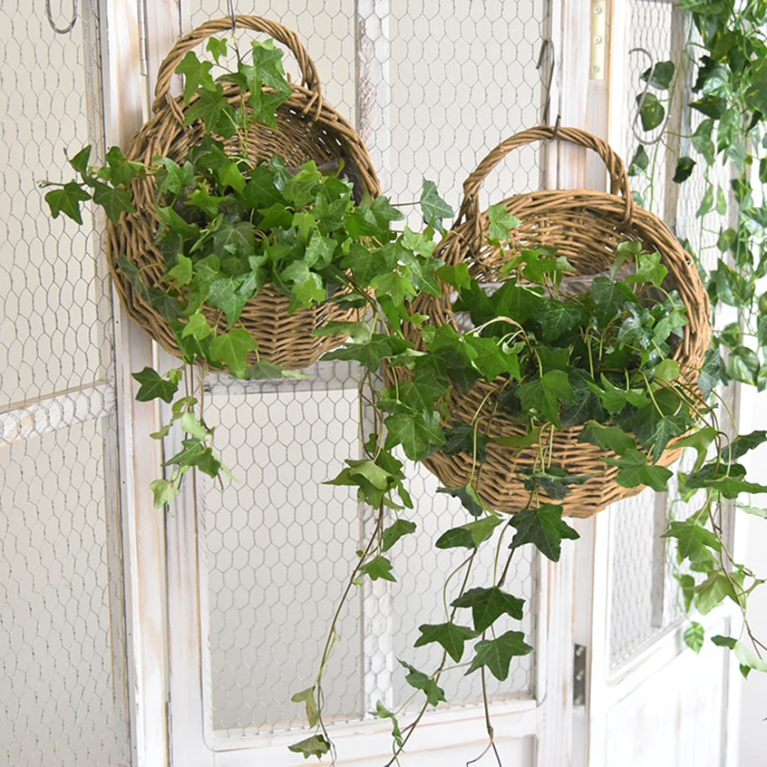 Vaso para Plantas Suspenso em Rattan - Zatto